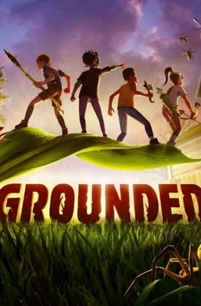Купить Grounded